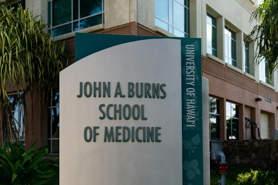 Hawaiʻi Virtual Outpatient Program Adds Statewide Option Amid 39% Adult Psychiatrist Shortage