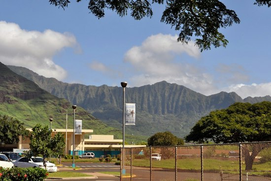 Hawaii Begins Cemetery Overhaul, Starting With Waianae's Graves