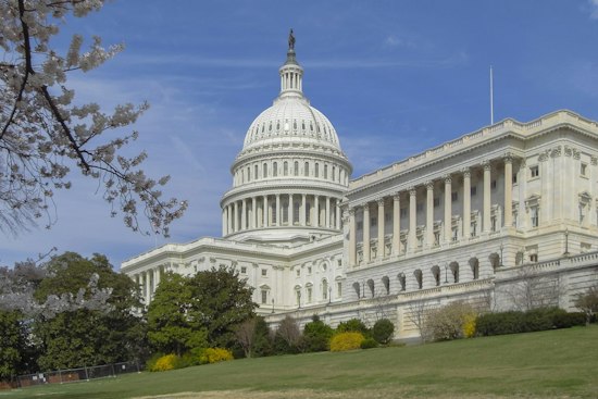 Hemp Drink Maker Urges Fans to Mail Congress a Six-Pack Before Dec. 11 Ban