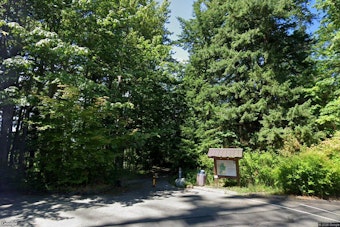 Hikers Find Body Near Tent Beside WWU's Sehome Hill Arboretum