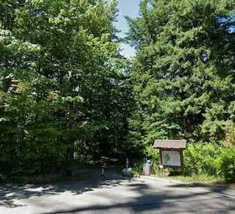 Hikers Find Body Near Tent Beside WWU's Sehome Hill Arboretum