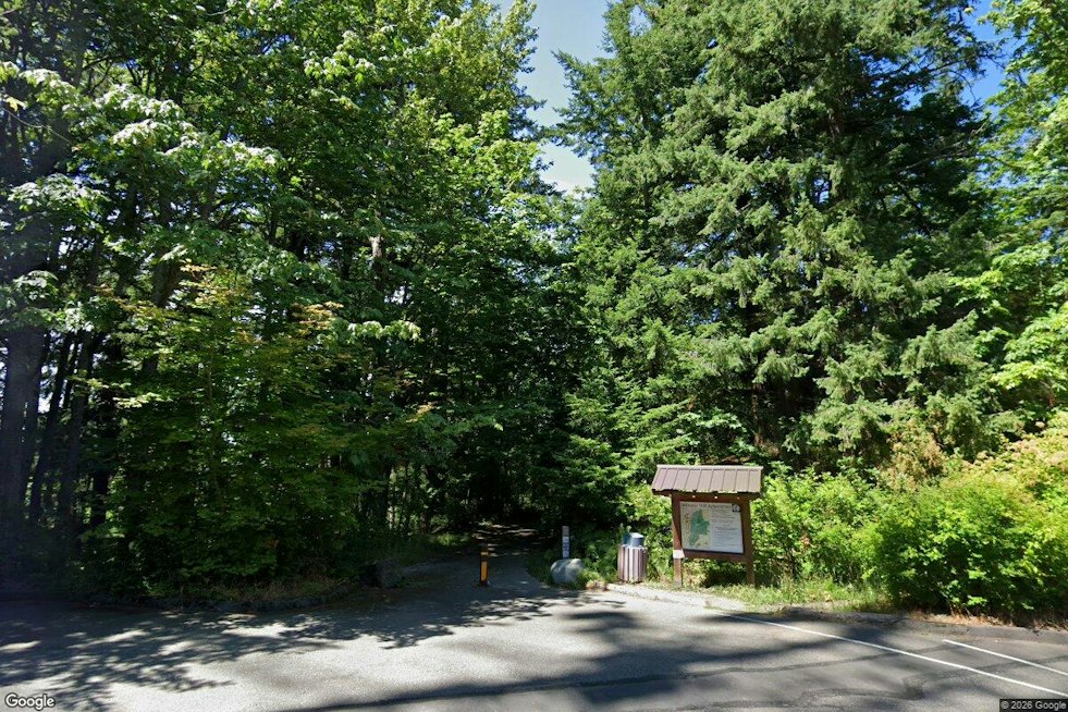 Hikers Find Body Near Tent Beside WWU's Sehome Hill Arboretum
