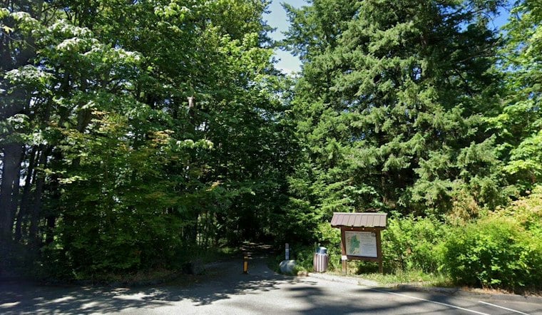 Hikers Find Body Near Tent Beside WWU's Sehome Hill Arboretum