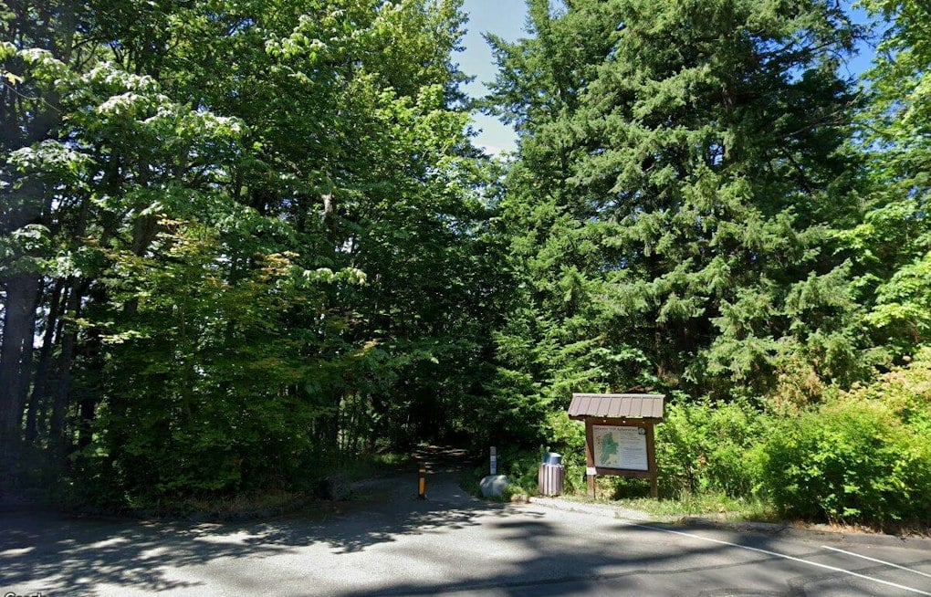 Hikers Find Body Near Tent Beside WWU's Sehome Hill Arboretum