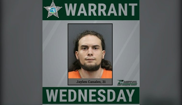 Hillsborough Deputies Hunt Jaylen Canales, 31, In Attack On Pregnant Victim