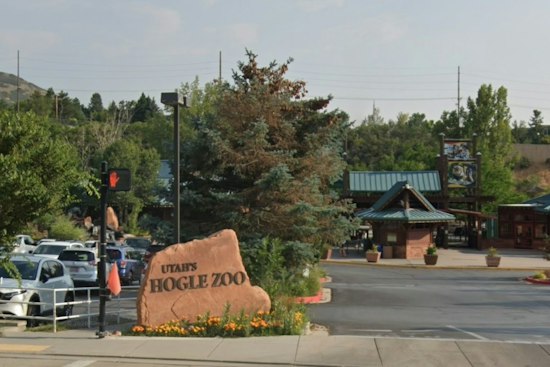 Hogle Zoo Breaks Ground on $10.8M Giraffe Habitat Opening Summer 2027