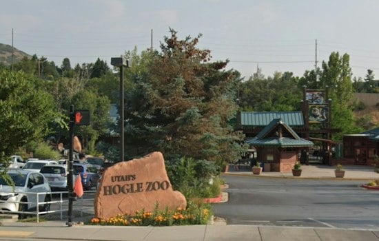 Hogle Zoo Breaks Ground on $10.8M Giraffe Habitat Opening Summer 2027