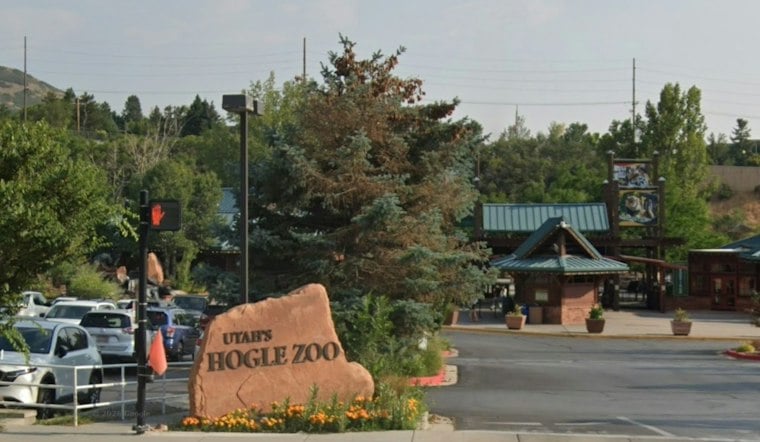 Hogle Zoo Breaks Ground on $10.8M Giraffe Habitat Opening Summer 2027