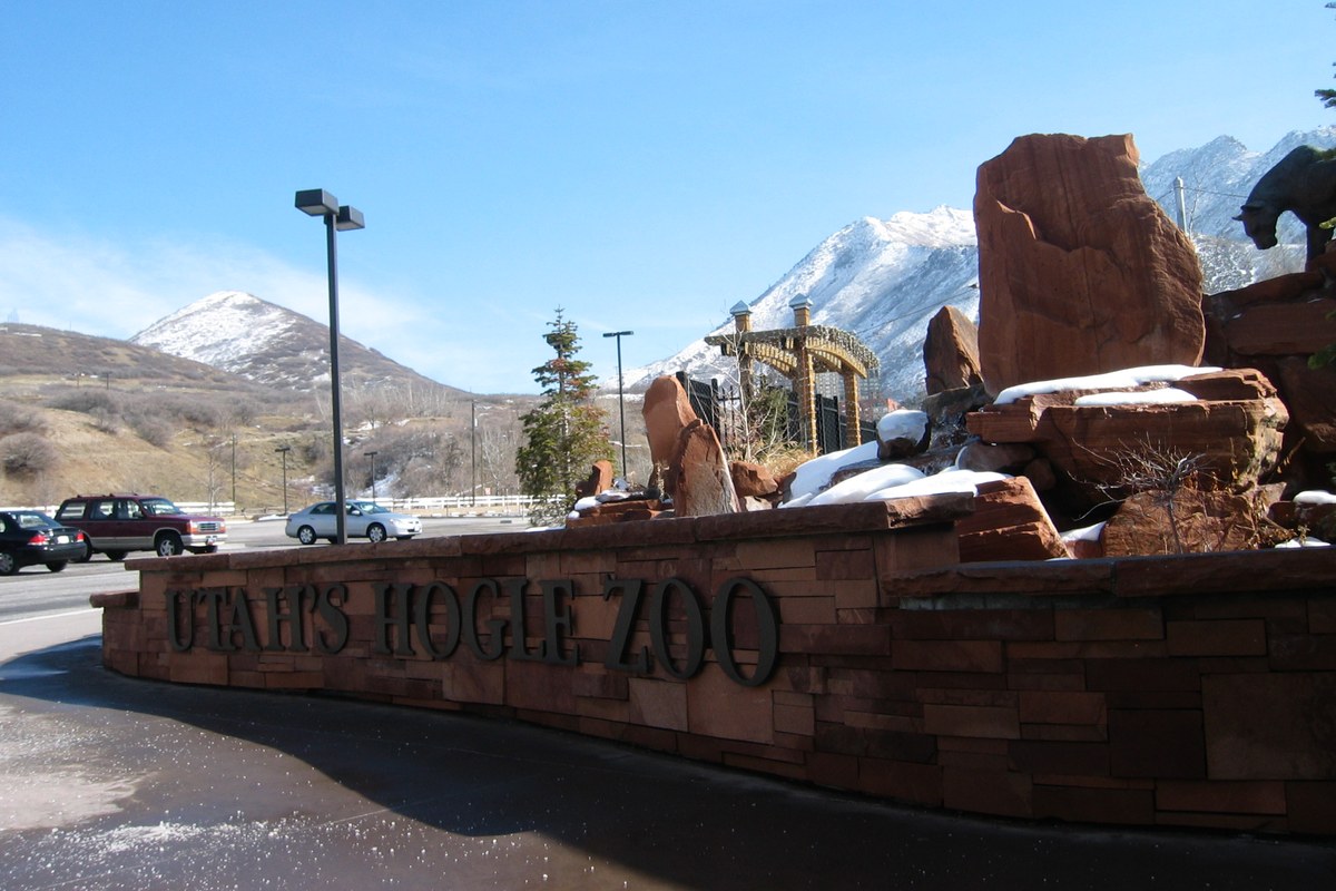 Hogle Zoo Polar Bear Neva Enters Den at 822 Pounds