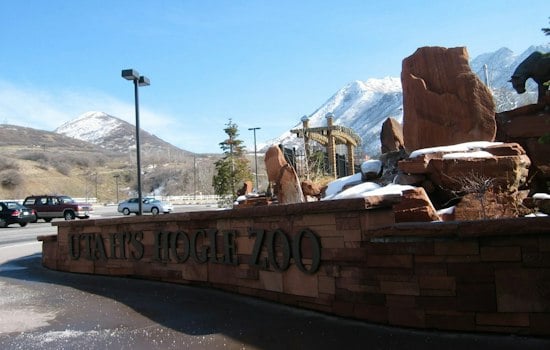 Hogle Zoo's Neva Heads Into Her Den at 822 Pounds, Leaves Nikita Topside