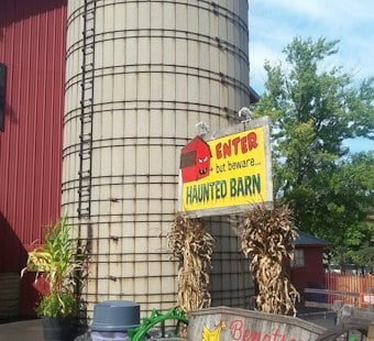 Homer Glen Pumpkin Farm Shuts Petting Zoo as 5 E. Coli Cases Investigated