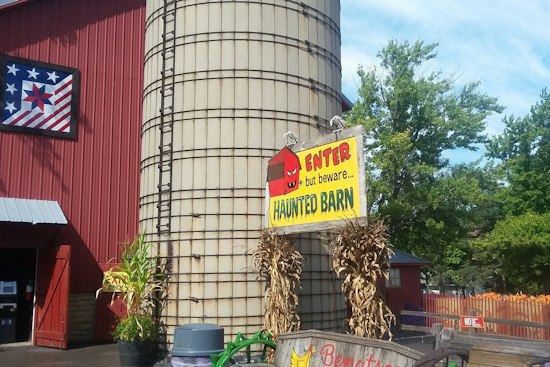 Homer Glen Pumpkin Farm Shuts Petting Zoo as 5 E. Coli Cases Investigated