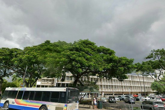 Honolulu Basks in Breezy Sun Before Tropical Downpours Roll In Next Week