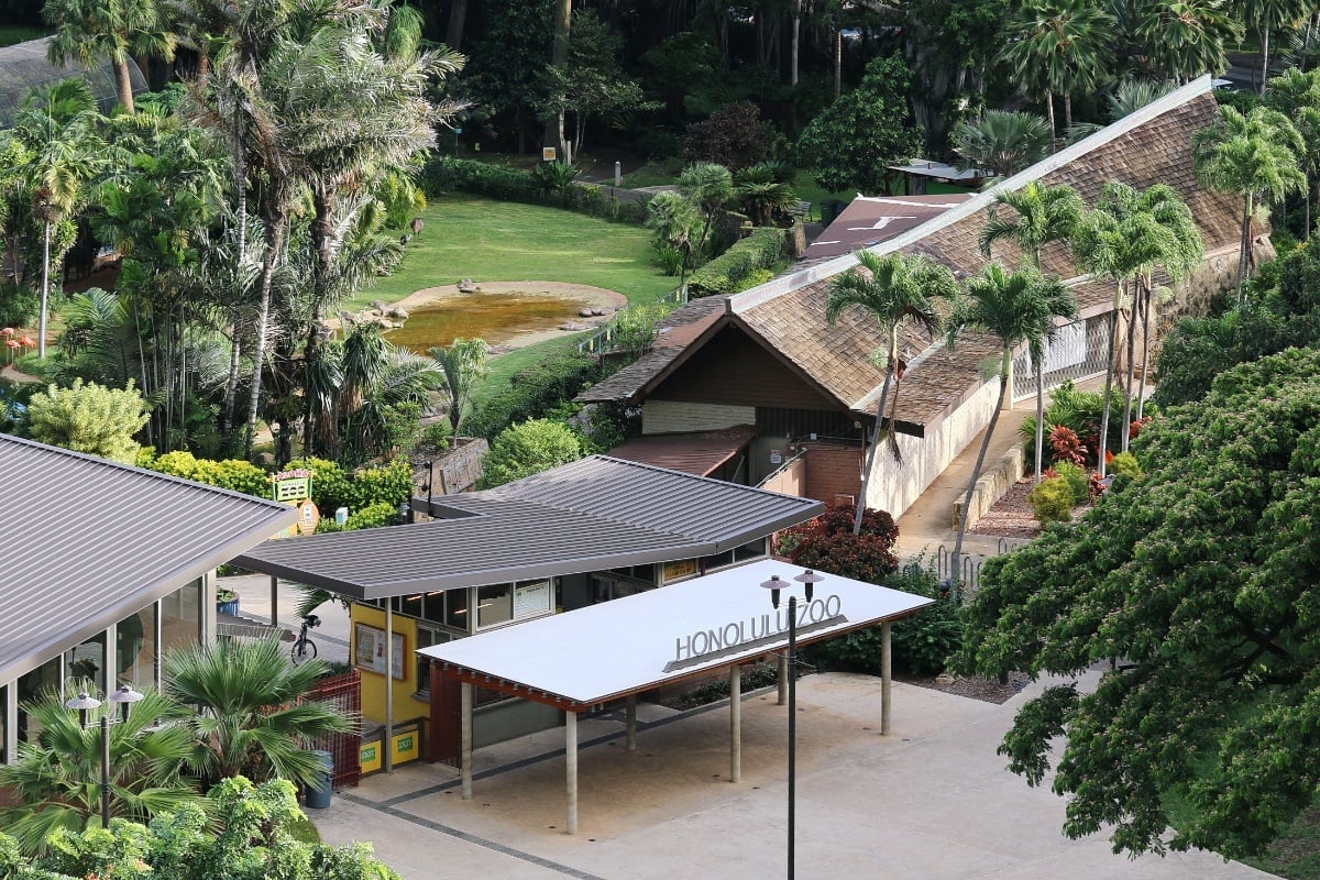 Honolulu Zoo Trades Roars for Brews as Boos & Brews Debuts This October