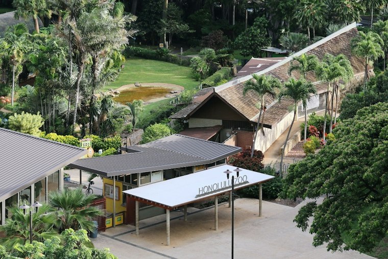 Honolulu Zoo Trades Roars for Brews as Boos & Brews Debuts This October