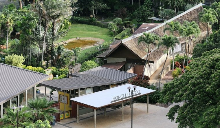 Honolulu Zoo Trades Roars for Brews as Boos & Brews Debuts This October