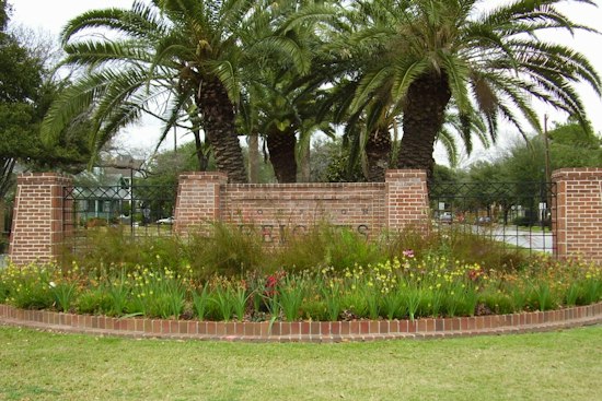 Houston Heights Nursery Buchanan's Native Plants Marks 40 Years With Fall Fest
