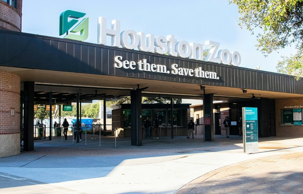 Houston Zoo Hatches Venomous Vipers and a First-Ever Spiny Skink Birth