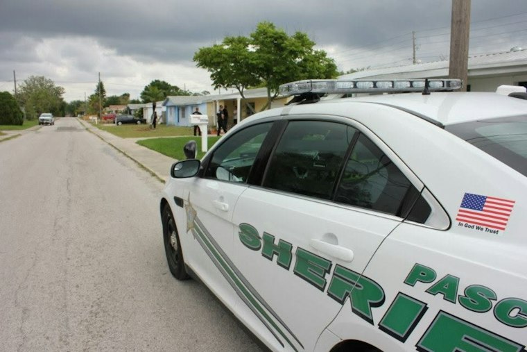 Human Remains Found in Pasco County, Deputies Race to ID the Deceased