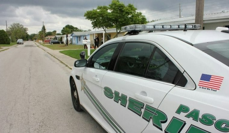 Human Remains Found in Pasco County, Deputies Race to ID the Deceased