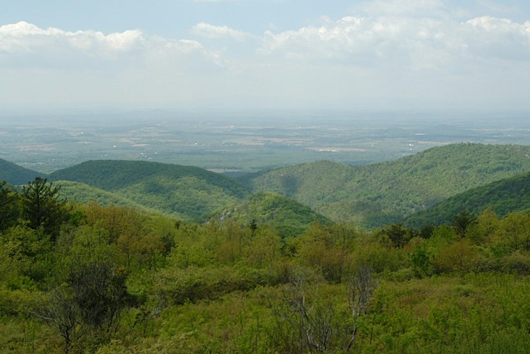 Human Remains Found Near Tent in Shenandoah Park, Naked Creek Area Closed