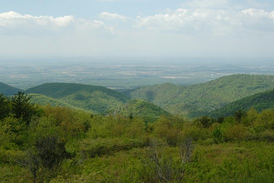Human Remains Found Near Tent in Shenandoah Park, Naked Creek Area Closed