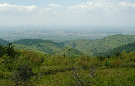 Human Remains Found Near Tent in Shenandoah Park, Naked Creek Area Closed