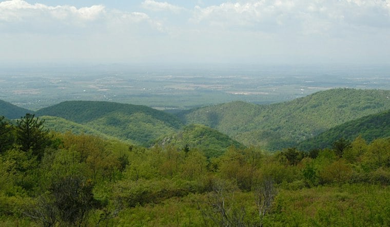 Human Remains Found Near Tent in Shenandoah Park, Naked Creek Area Closed