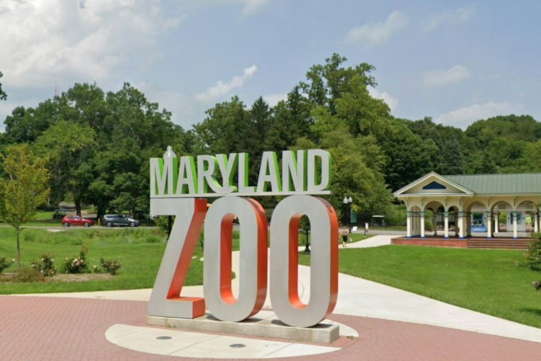 Hundreds to Walk at Maryland Zoo Saturday Aiming for $1.15M to Fight Alzheimer's