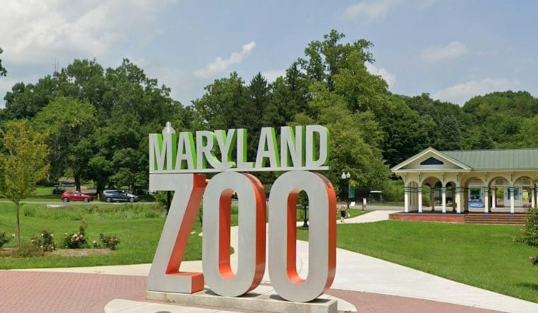 Hundreds to Walk at Maryland Zoo Saturday Aiming for $1.15M to Fight Alzheimer's