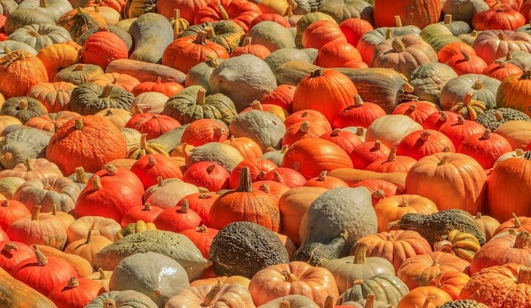 Huntsburg Pumpkin Festival Marks 56th Year With Cornhole, Giant Pumpkins and a Parade