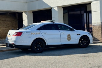 Indy Robbery Spree Ends With Teen, Two 18-Year-Olds Facing Armed Felony Charges