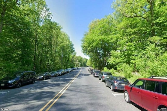 Invasive Worm Infects 200 Beech Trees at Haddon Township's Saddler's Woods