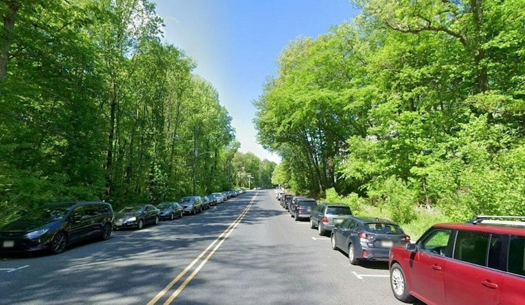 Invasive Worm Infects 200 Beech Trees at Haddon Township's Saddler's Woods