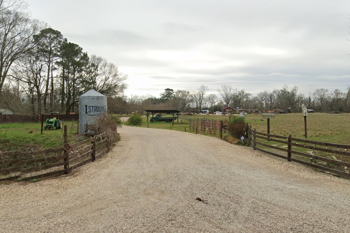 hoodline.com - Sam Wofford - Istrouma at Sugar Farms Auction in St. Gabriel, LA
