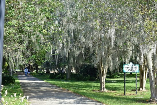 Jacksonville's River City Pride Parade Marches This Weekend With Peluso as Grand Marshal