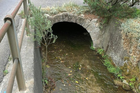 Johnston Shih Tzu Plunges 12 Feet Into Open Sewer, Crews Haul It Out by Pulley