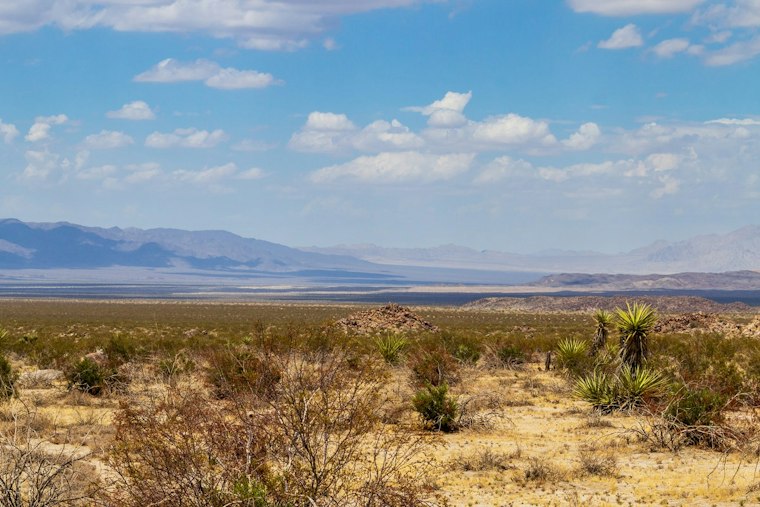 Joshua Tree Developer Plans to Crane 30 Yachts Into the Desert by 2030