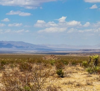Joshua Tree Developer Plans to Crane 30 Yachts Into the Desert by 2030
