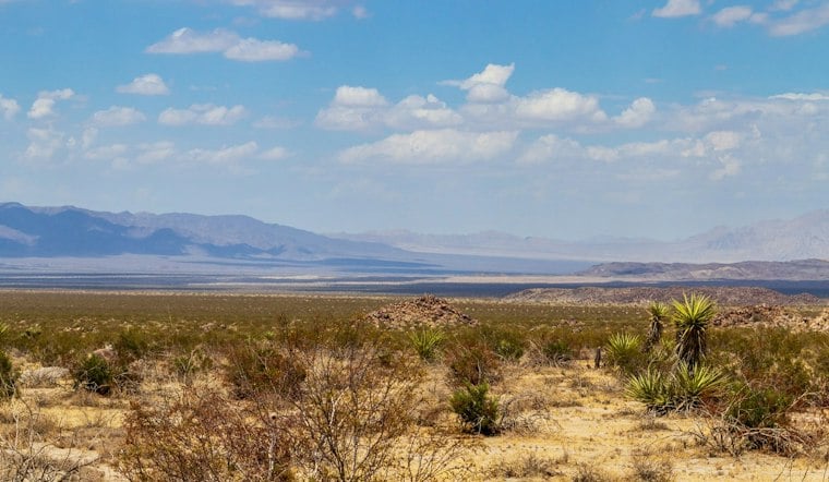 Joshua Tree Developer Plans to Crane 30 Yachts Into the Desert by 2030
