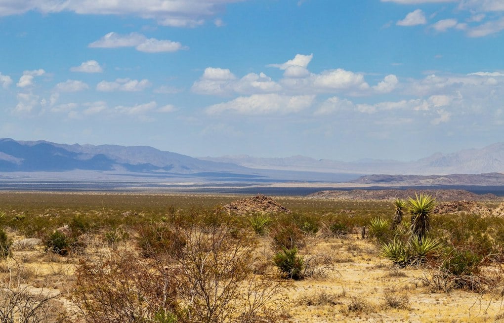 Joshua Tree Developer Plans to Crane 30 Yachts Into the Desert by 2030