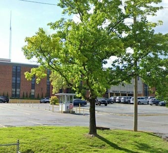 Juvenile Attacks Oakville High Officer, Triggers Brief School Hold