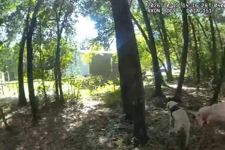 K-9 Helps Find Missing Woman Near Her Home