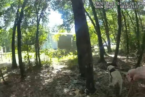 K-9 Helps Find Missing Woman Near Her Home