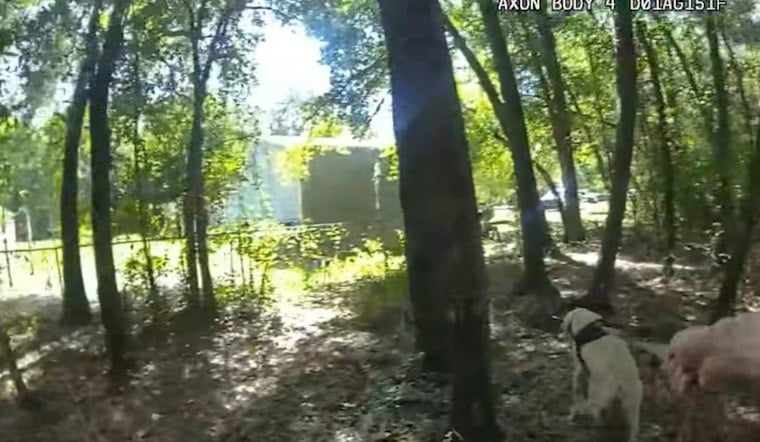 K-9 Helps Find Missing Woman Near Her Home