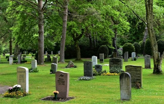 Kansas City Mom Finds Daughter's Grave Buried in Weeds, Cemetery Owes Thousands in Back Taxes