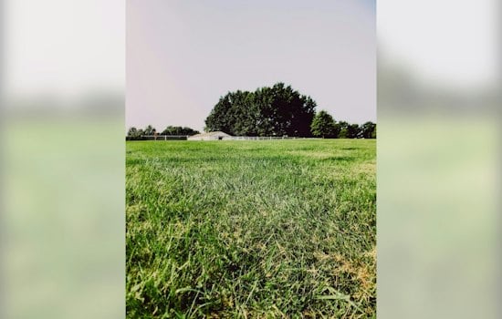 Kansas Teen Faith, 14, Dreams Of Crime Scene Work, Waits For A Family