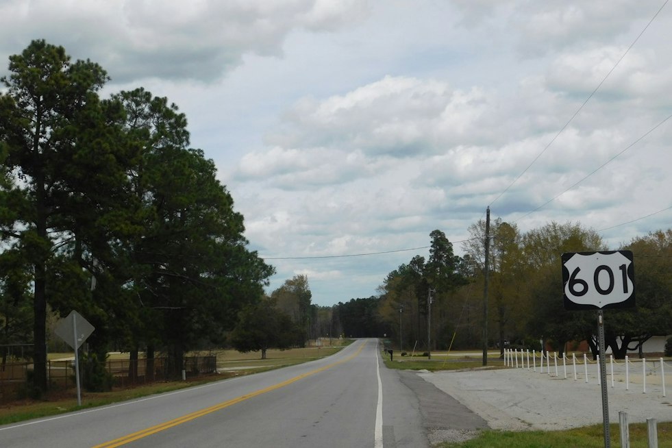 Kershaw Driver Killed After Car Veers Off US-601 and Slams Into Tree