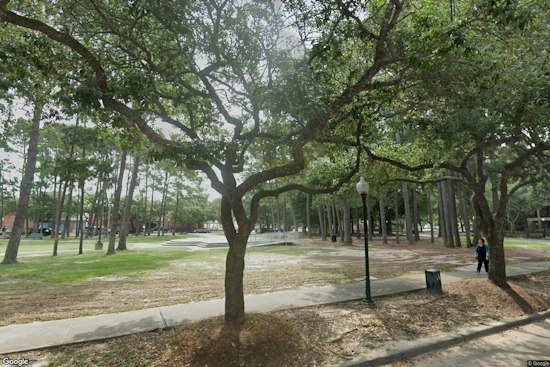 Kingwood's 7th Annual Pickle Festival Returns With 175 Vendors and a Pet Parade