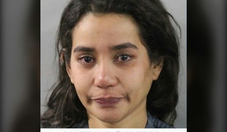Knife-Wielding Woman Held At Gunpoint By Shoppers At Polk County Dollar General